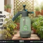 Common home gardening mistakes that can damage plants